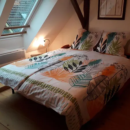La Grange D'ernest Bed & Breakfast Wittisheim
